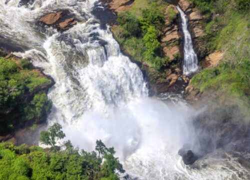 4 days Murchison falls safari